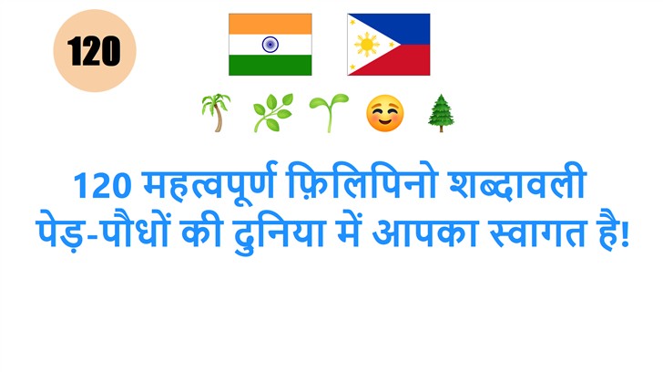 120 महत्वपूर्ण फ़िलिपिनो शब्दावली: पेड़-पौधों की दुनिया में आपका स्वागत है!